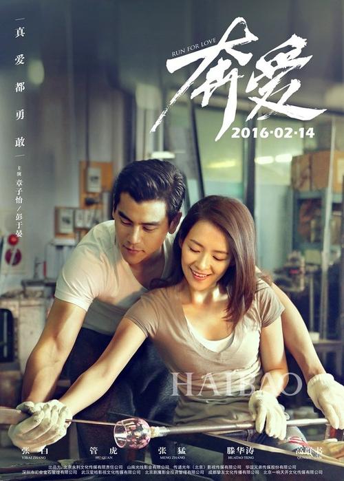 罗维戈音乐学院diplom